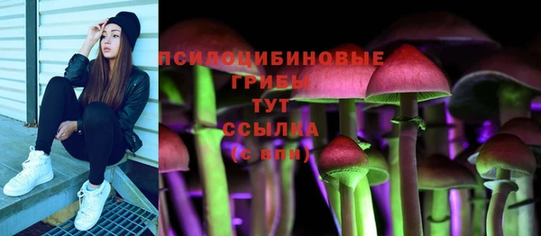мяу мяу мука Волоколамск