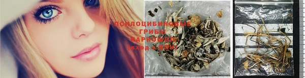 spice Володарск