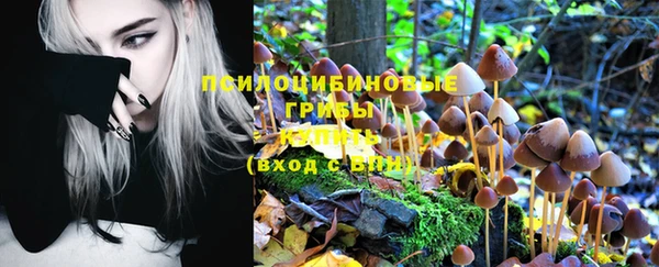 дмт Волосово